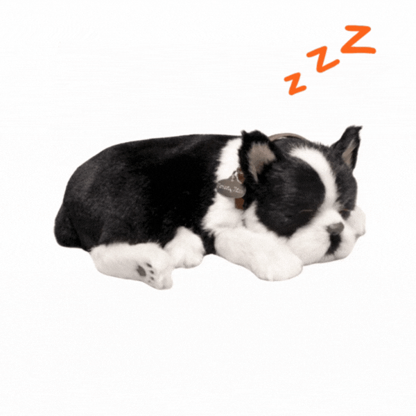 Jucărie interactivă "Terrier Boston" [2]