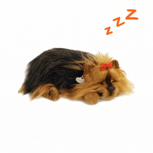 Jucărie interactivă "Yorkie" [2]