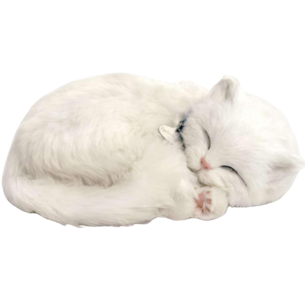 Pisicuță albă cu imitație de respirație [3]