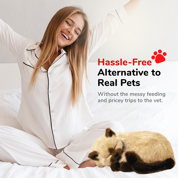 Pisicuță siameză cu imitație de respirație [5]