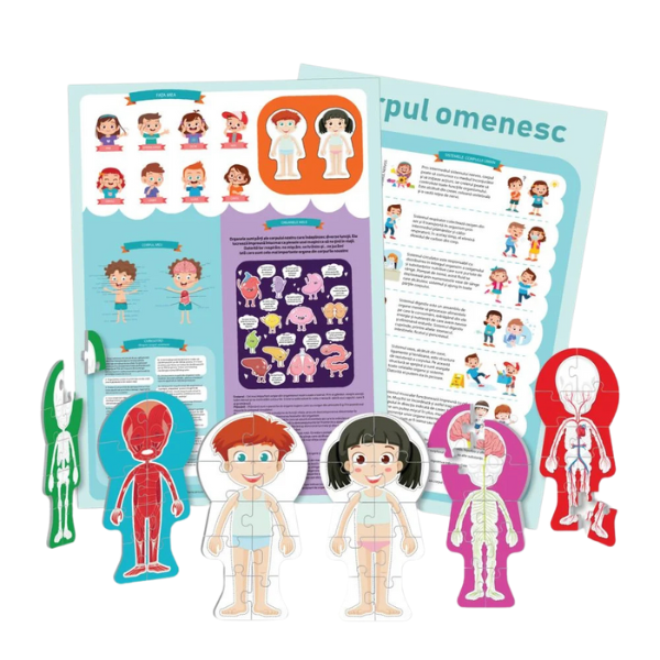 Puzzle ”Corpul omenesc”, 60 elem. (ro) [2]