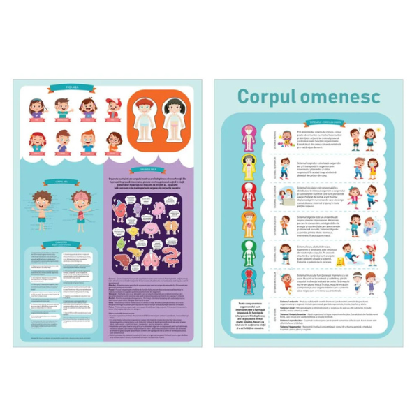 Puzzle ”Corpul omenesc”, 60 elem. (ro) [5]