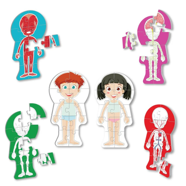 Puzzle ”Corpul omenesc”, 60 elem. (ro) [6]