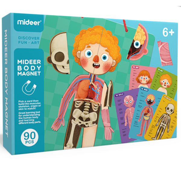 Puzzle magnetic „Corpul uman”, 90 elem. [9]