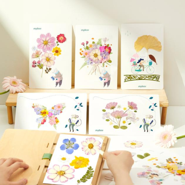 Set de Creație „Descoperim natura” [7]
