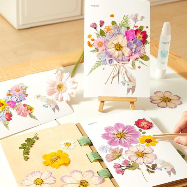 Set de Creație „Descoperim natura” [6]