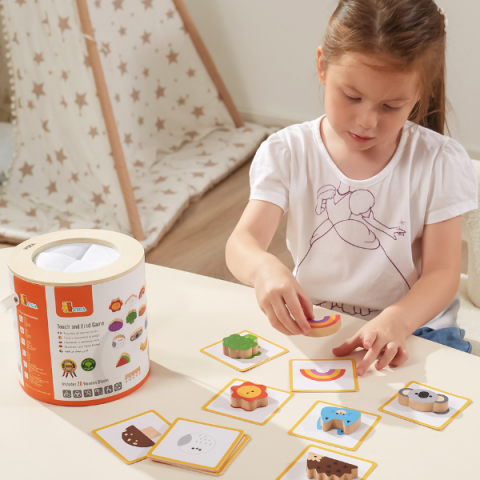 Joc Educativ "Atinge și Găsește" [11]