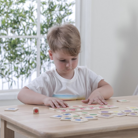 Joc logic de puzzle  „Învățăm culorile” [10]