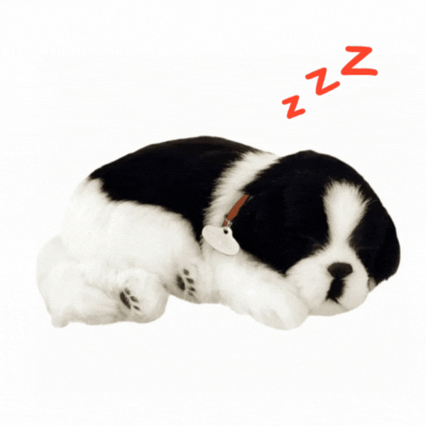 Jucărie interactivă „Border Collie” [1]