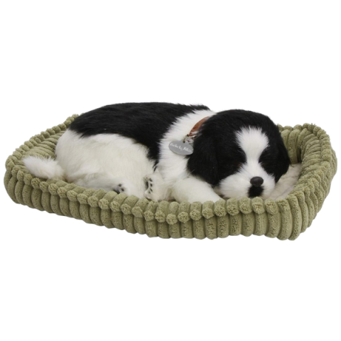 Jucărie interactivă „Border Collie” [2]