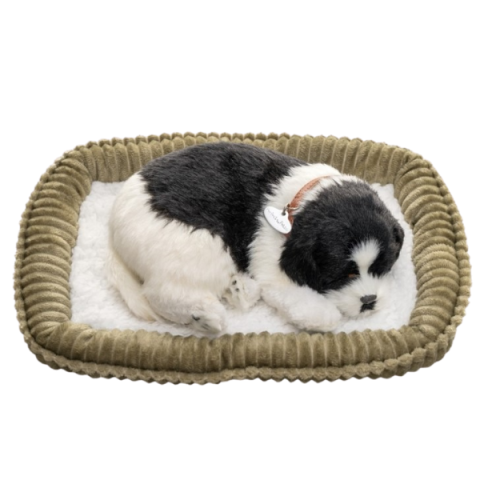 Jucărie interactivă „Border Collie” [3]