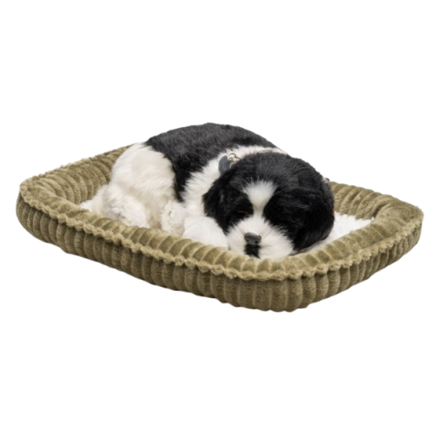 Jucărie interactivă „Border Collie” [5]