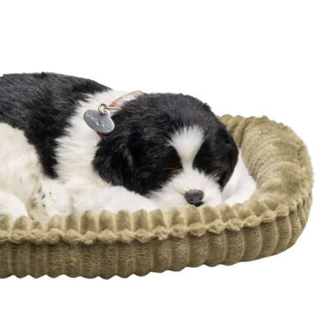 Jucărie interactivă „Border Collie” [6]