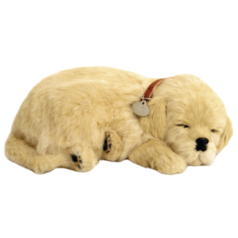 Jucărie interactivă „Golden Retriever” [2]
