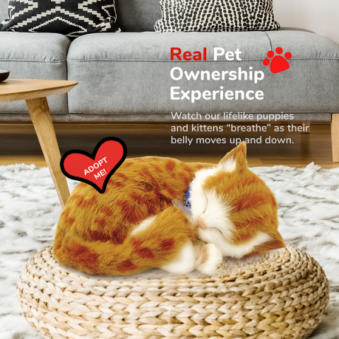 Jucărie interactivă "Pisicuța tabby portocalie" [5]