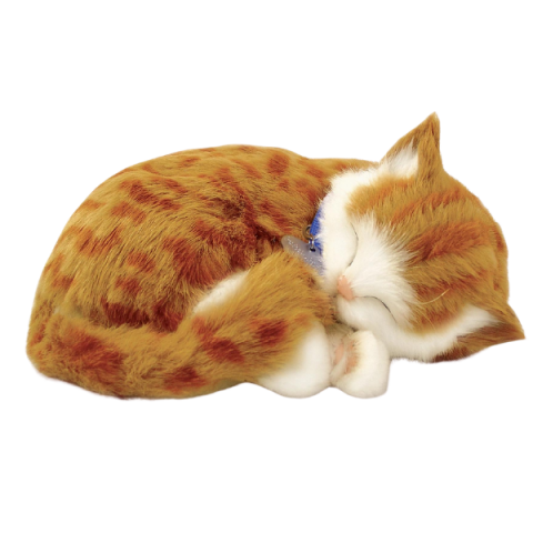 Jucărie interactivă "Pisicuța tabby portocalie" [2]