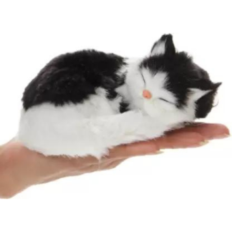 Jucărie interactivă "Pisica cu trei pisicuțe" [4]