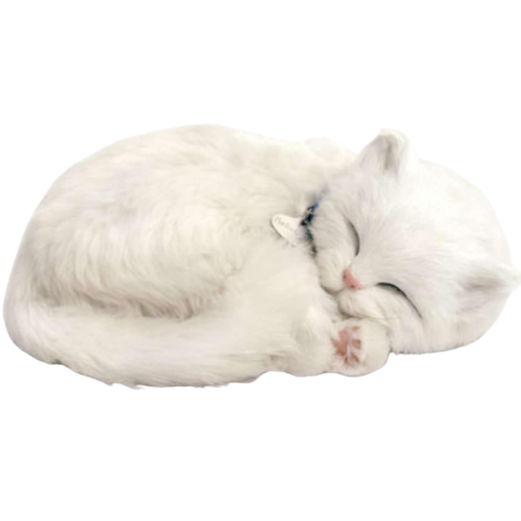 Pisicuță albă cu imitație de respirație [2]