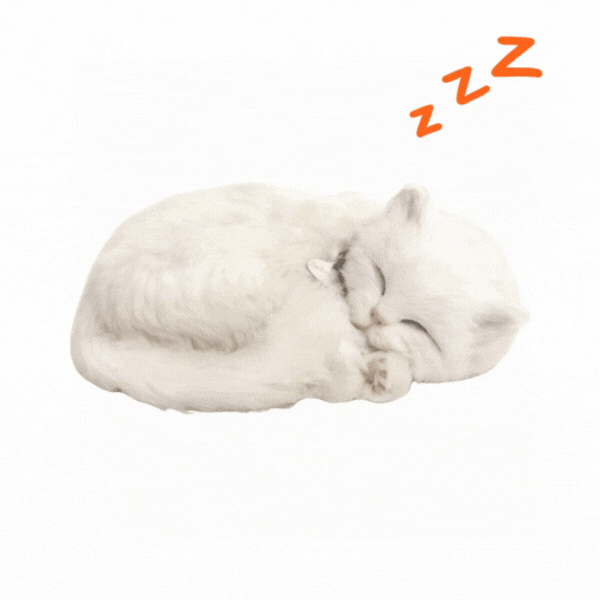 Pisicuță albă cu imitație de respirație [1]