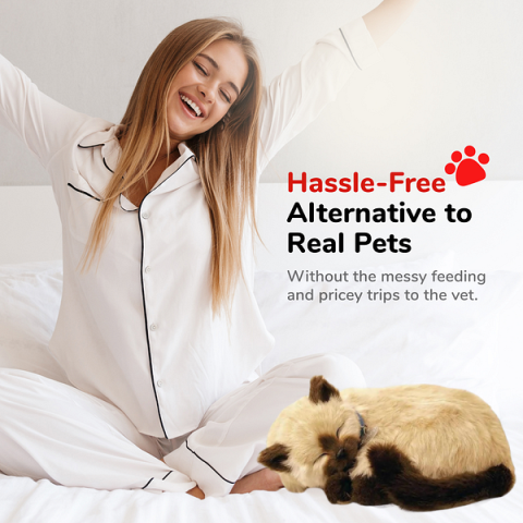 Pisicuță siameză cu imitație de respirație [4]