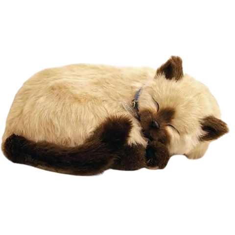 Pisicuță siameză cu imitație de respirație [2]