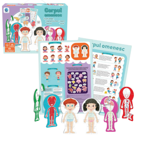 Puzzle - Puzzle ”Corpul omenesc”, 60 elem. (ro)