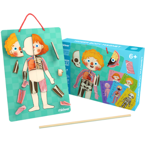 Puzzle magnetic „Corpul uman”, 90 elem. [9]