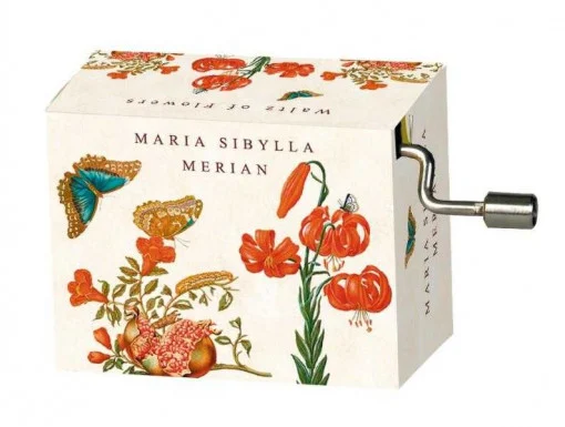 Flasneta Maria Sibylla Merian, Fridolin [1]