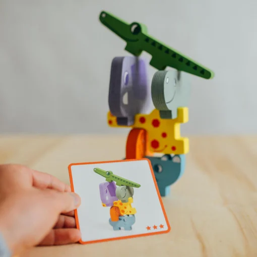 Joc educativ Ze Totanimo, Djeco [4]