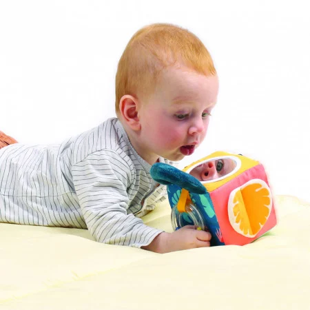 LUDI Cub activitati frunza [4]