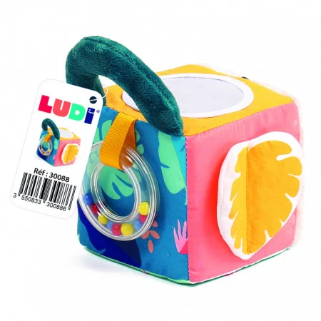 LUDI Cub activitati frunza [5]