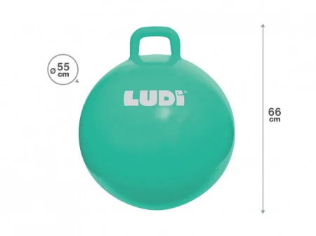 LUDI Minge saltareata BLUE 55 cm [4]