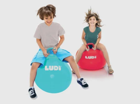 LUDI Minge saltareata BLUE 55 cm [5]