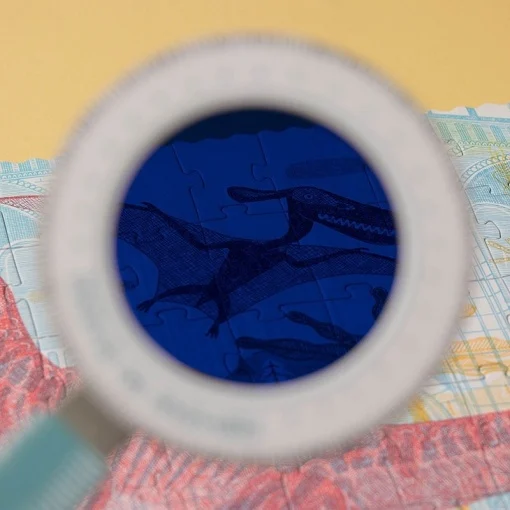 Puzzle Descopera dinozaurii, Londji [6]