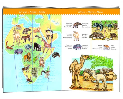 Puzzle observatie Animalele lumii, Djeco [1]