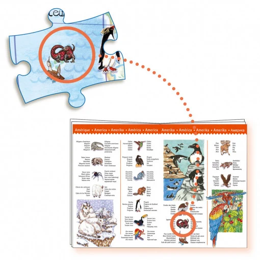 Puzzle observatie Animalele lumii, Djeco [3]