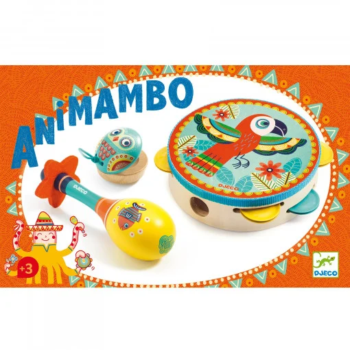 Set instrumente muzicale, Djeco [2]
