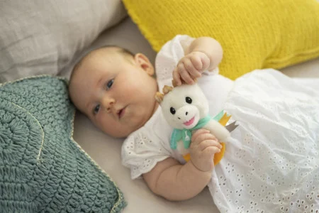 Vulli Zornaitoare si inel dentitie Plush [5]