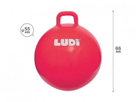 LUDI Minge saltareata RED 55 cm [3]