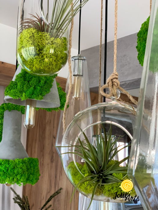 Artificial Moss | APPLE GREEN - preserved reindeer moss for air plants,  tillandsia, floristry, hanging basket, airplant decoration