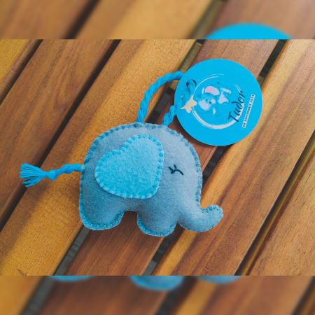 MARTURII BOTEZ - Marturie Elefant