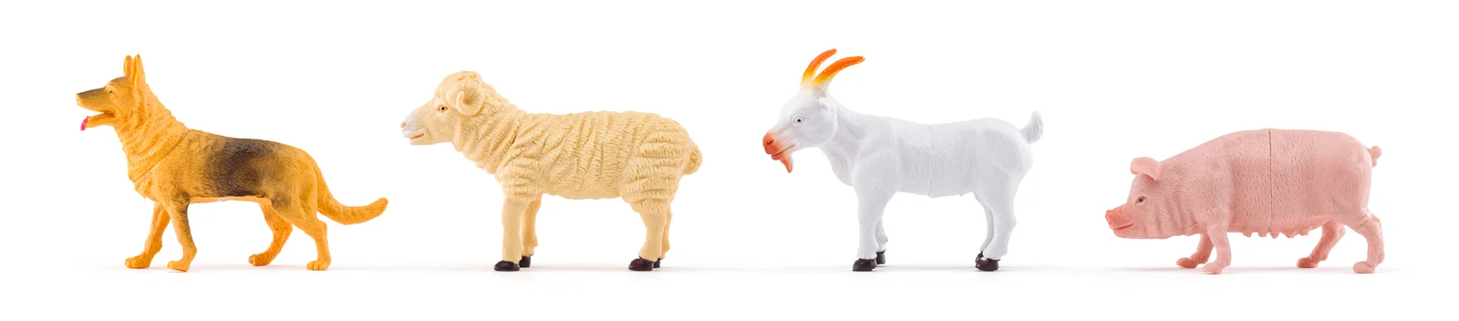 Set de 11 animale domestice și accesorii din plastic [2]