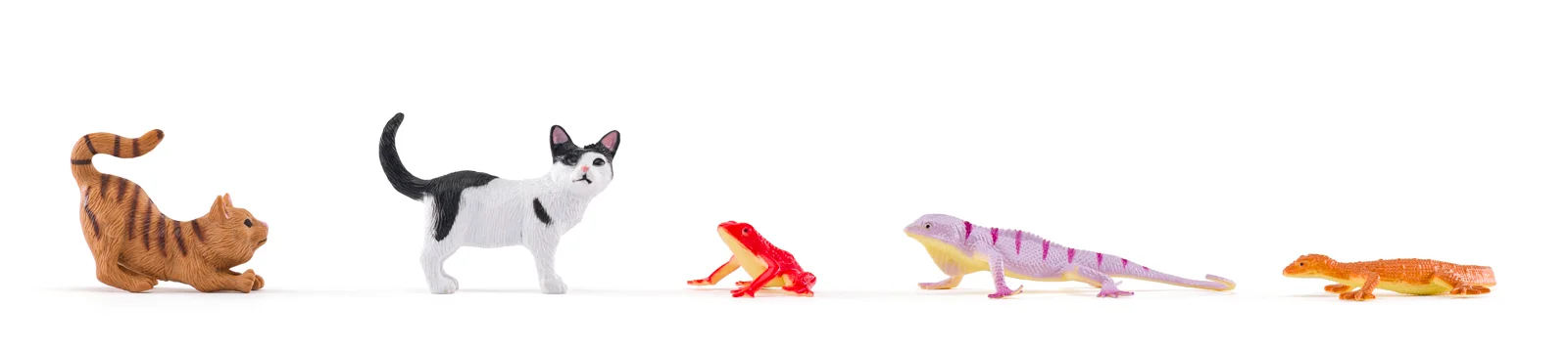 Set de 14 animale de companie și accesorii din plastic [4]