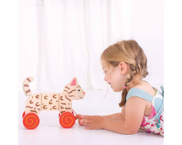 11323 BB111 Jucărie de tras - Pisicuță Bigjigs [3]