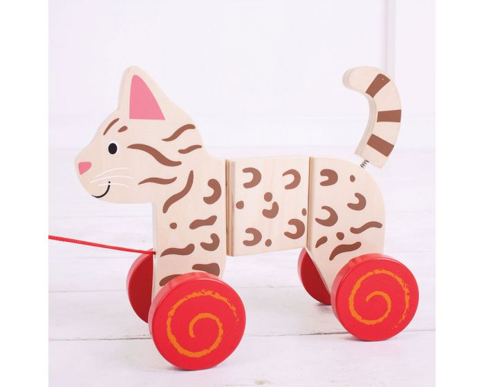 11323 BB111 Jucărie de tras - Pisicuță Bigjigs [2]