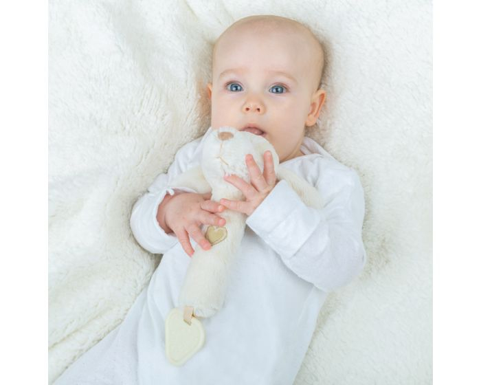 11327 BB610  Jucărie zornăitoare din pluș - Cățelușul visător Bigjigs [3]