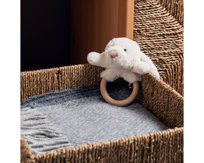 11330 BB616 Inel senzorial pentru bebeluși - Cățelușul visător Bigjigs [3]