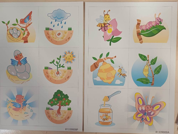 Calendar cu 40 de buzunare transparente si 83 de carduri în 10 limbi [3]