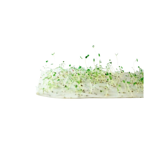 Flori de plantat - 100 forme din hârtie cu semințe [2]