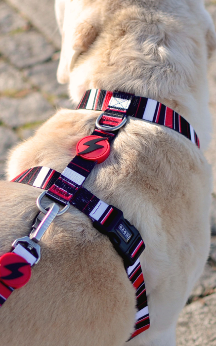 Ham reglabil pentru câini model SLIDE, mărimea L [2]